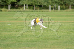 20260919-GVFRRC-AKC-LC-127