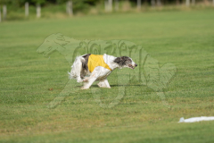 20260919-GVFRRC-AKC-LC-128