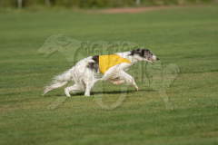 20260919-GVFRRC-AKC-LC-138