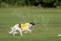 20260919-GVFRRC-AKC-LC-142