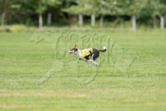20260919-GVFRRC-AKC-LC-263