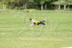 20260919-GVFRRC-AKC-LC-259