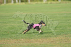 20260919-GVFRRC-AKC-LC-144