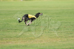 20260919-GVFRRC-AKC-LC-148