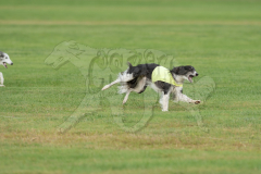 20260919-GVFRRC-AKC-LC-68