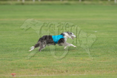 20260919-GVFRRC-AKC-LC-70