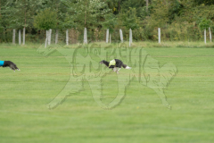 20260919-GVFRRC-AKC-LC-73