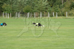 20260919-GVFRRC-AKC-LC-74