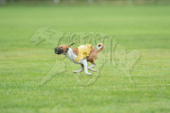 20260920-GVFRRC-AKC-LC-132
