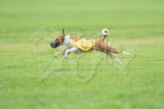 20260920-GVFRRC-AKC-LC-133