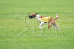 20260920-GVFRRC-AKC-LC-129
