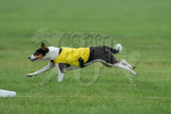 20260920-GVFRRC-AKC-LC-147