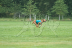 20260920-GVFRRC-AKC-LC-292