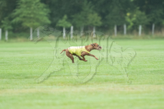 20260920-GVFRRC-AKC-LC-299