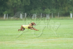 20260920-GVFRRC-AKC-LC-293