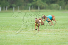 20260920-GVFRRC-AKC-LC-301