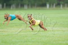 20260920-GVFRRC-AKC-LC-295