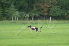 20260920-GVFRRC-AKC-LC-173