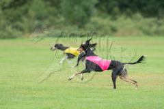 20260920-GVFRRC-AKC-LC-180