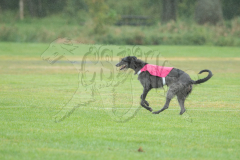 20260920-GVFRRC-AKC-LC-140