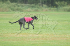 20260920-GVFRRC-AKC-LC-141