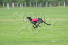 20260920-GVFRRC-AKC-LC-164
