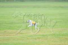 20260920-GVFRRC-AKC-LC-153