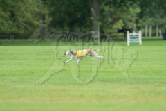 20260920-GVFRRC-AKC-LC-218