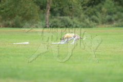 20260920-GVFRRC-AKC-LC-209