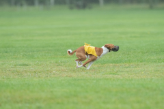 20260920-GVFRRC-AKC-LC-238