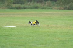 20260920-GVFRRC-AKC-LC-252