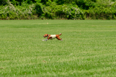 20240526-MemDayWknd-423