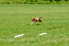 20240526-MemDayWknd-426