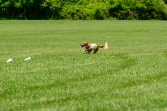 20240526-MemDayWknd-434