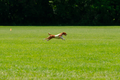 20240526-MemDayWknd-443