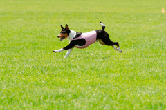 20240526-MemDayWknd-451