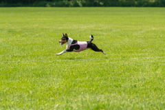 20240526-untitled-752