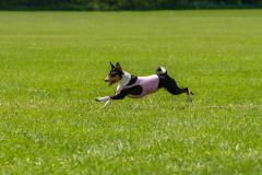 20240526-untitled-757