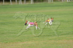 20260919-GVFRRC-AKC-LC-20