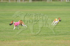 20260919-GVFRRC-AKC-LC-27
