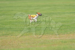 20260919-GVFRRC-AKC-LC-28