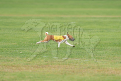 20260919-GVFRRC-AKC-LC-30