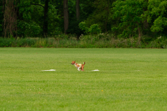 20240526-MemDayWknd-61