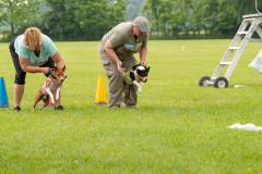 20240526-untitled-184