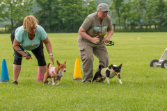 20240526-untitled-185