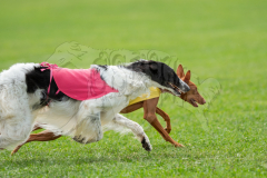 Best in Field