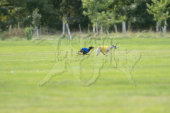 20260919-GVFRRC-AKC-LC-383