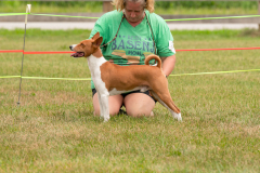 24MDIHCSighthoundSpree403