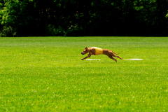 20240526-memdaywknd-21