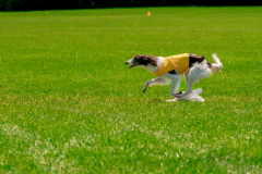 20240526-memdaywknd-232